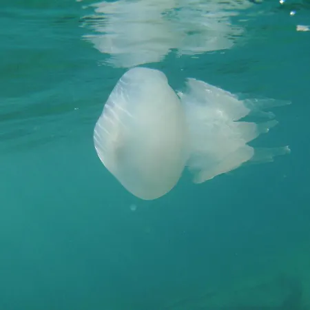 San Nicodemo Bed & Breakfast Ciro